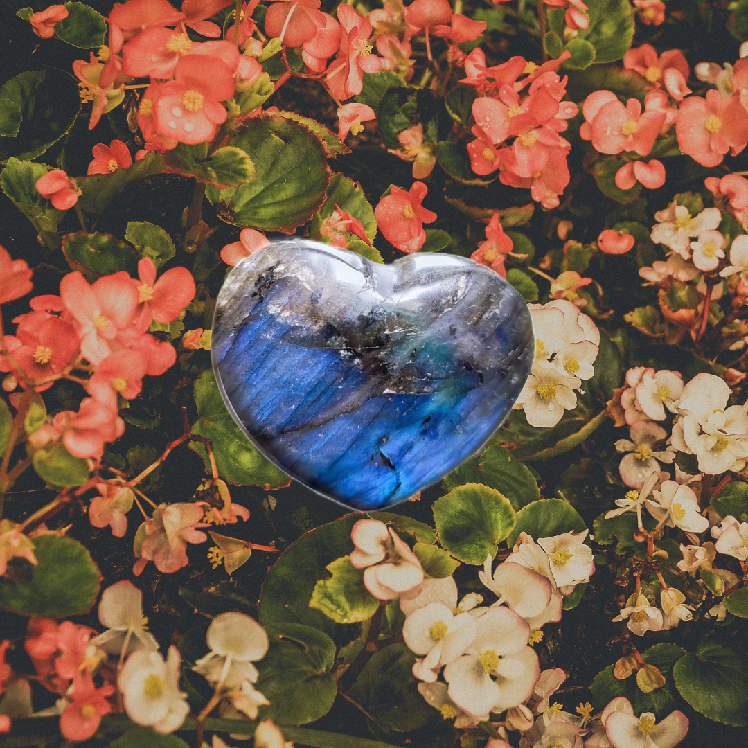 Hand Carved Labradorite Heart Shape Palm